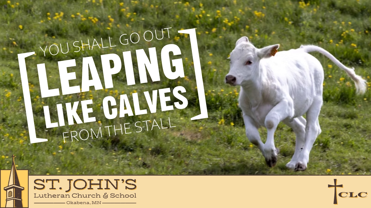 22nd Sunday after Trinity – November 16, 2025