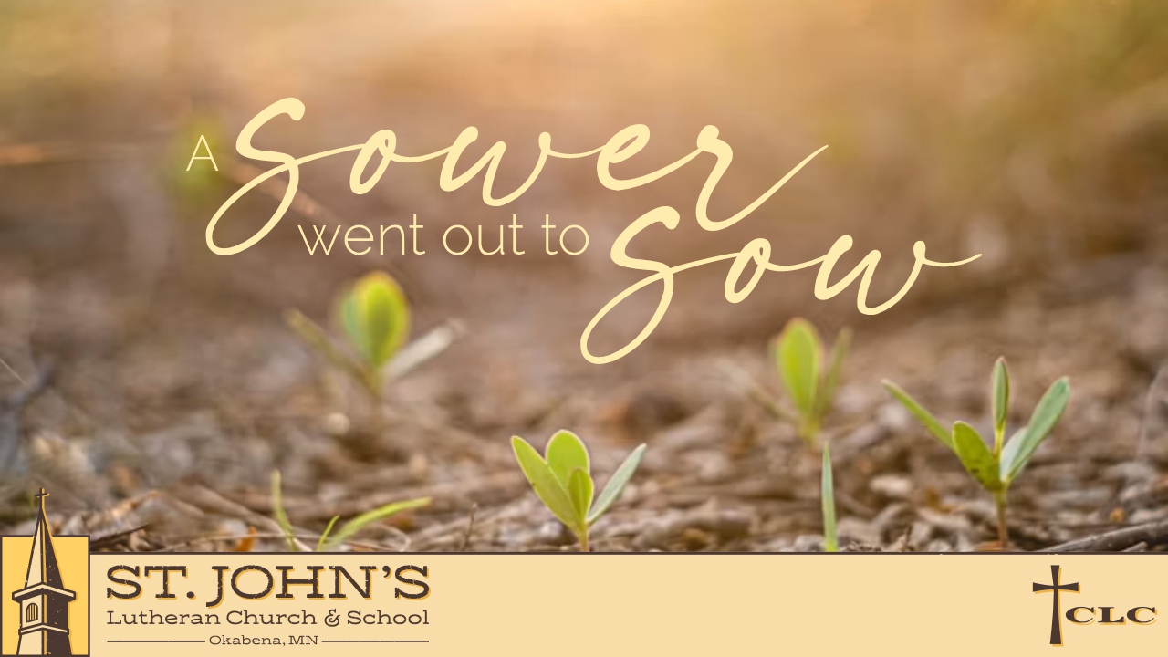 6th Sunday after Trinity Service – July 12, 2026